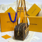 Louis Vuitton Cite M46321 Brown